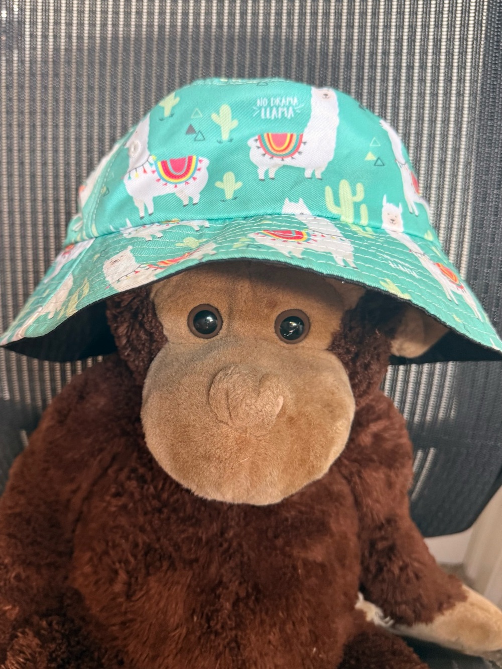Kids Llama Print Sun Hat - Aqua